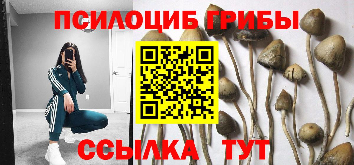 Усолье-Сибирское  Галлюциногенные грибы GOLDEN TEACHER  Вход с VPN 